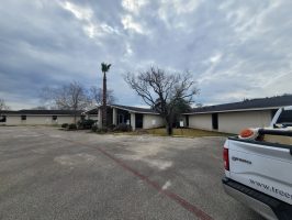 Commercial Tree Service 5